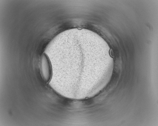 X0000115500413200911271414