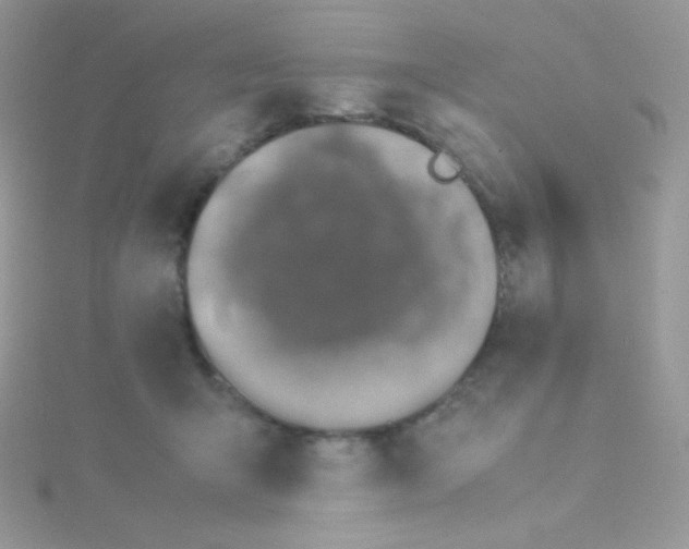 X0000115500415200911271414