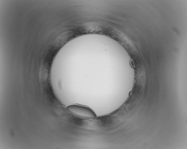 X0000115500417200911271414