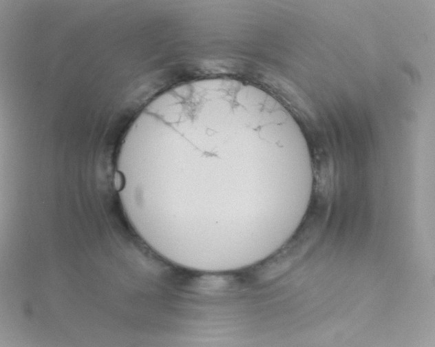 X0000115500418200911271414