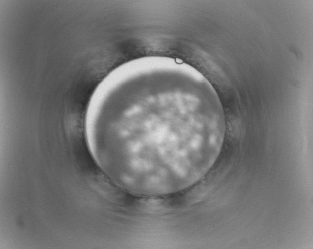 X0000115500419200911271414