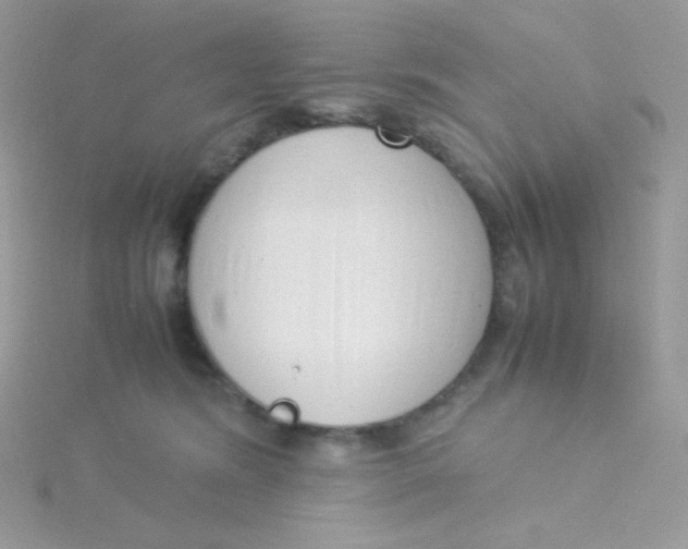 X0000115500420200911271414