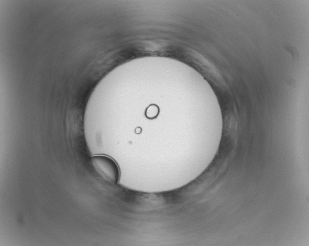 X0000115500421200911271414