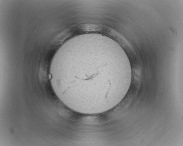 X0000115500422200911271414