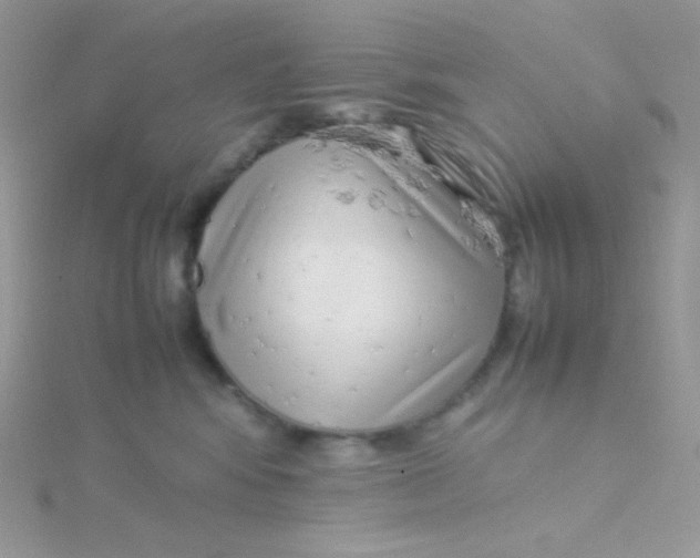 X0000115500424200911271414