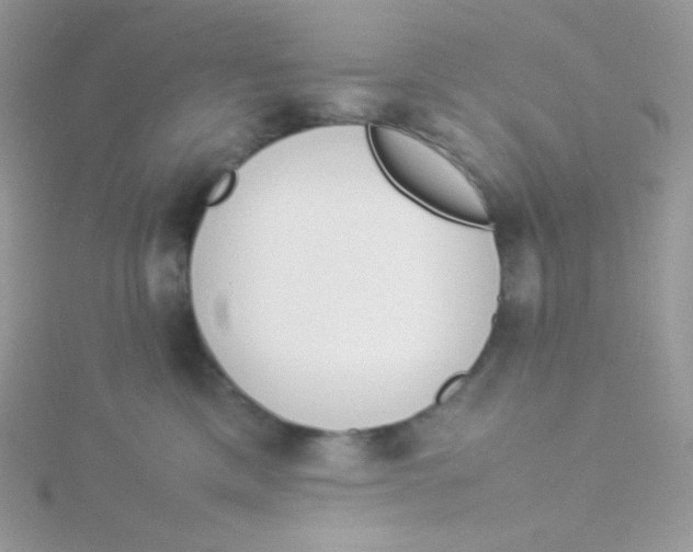 X0000115500425200911271414