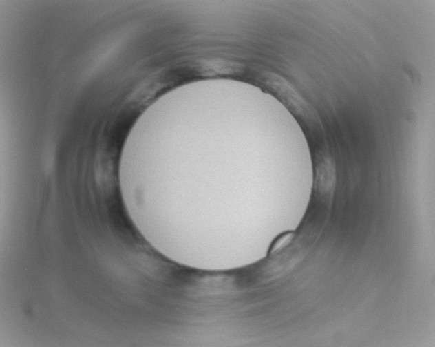 X0000115500426200911271414