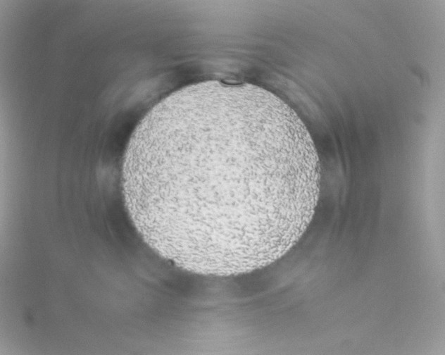 X0000115500427200911271414