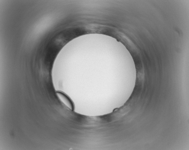 X0000115500429200911271414