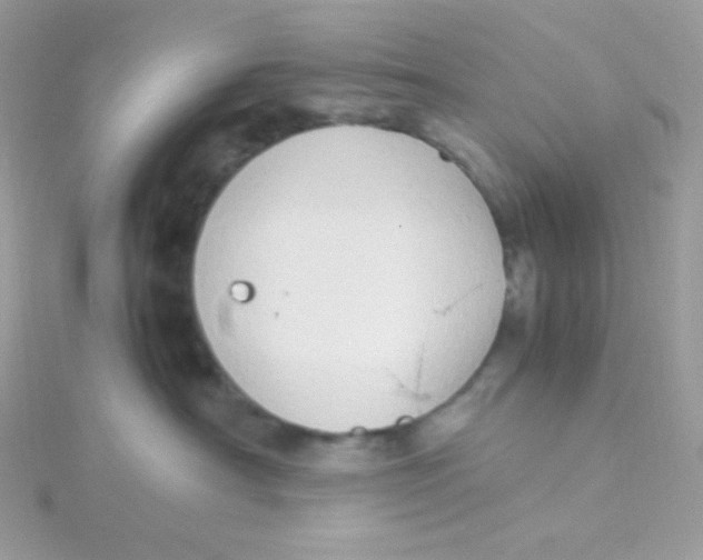 X0000115500430200911271414