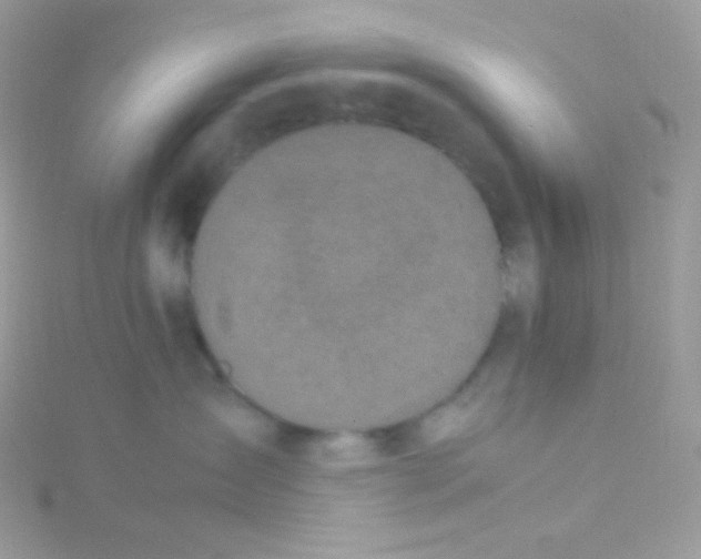 X0000115500431200911271414