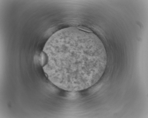 X0000115500432200911271414