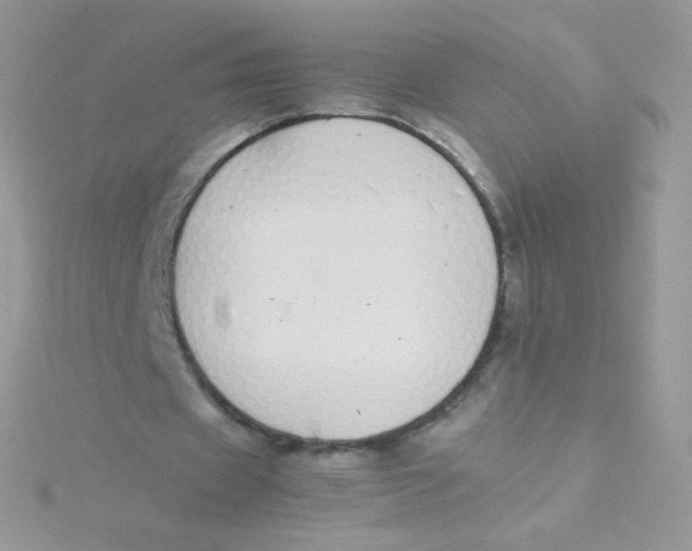 X0000115500433200911271413