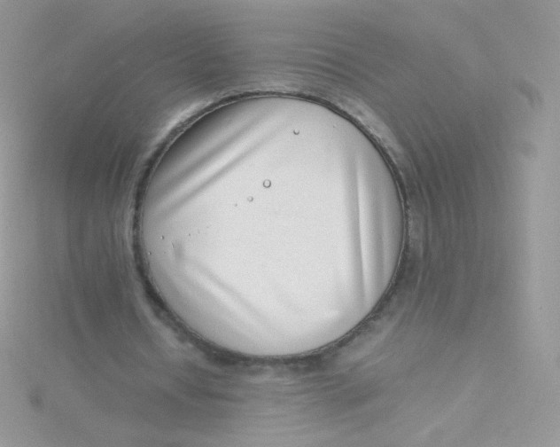 X0000115500434200911271413