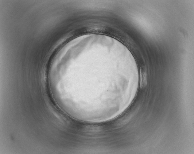 X0000115500435200911271413