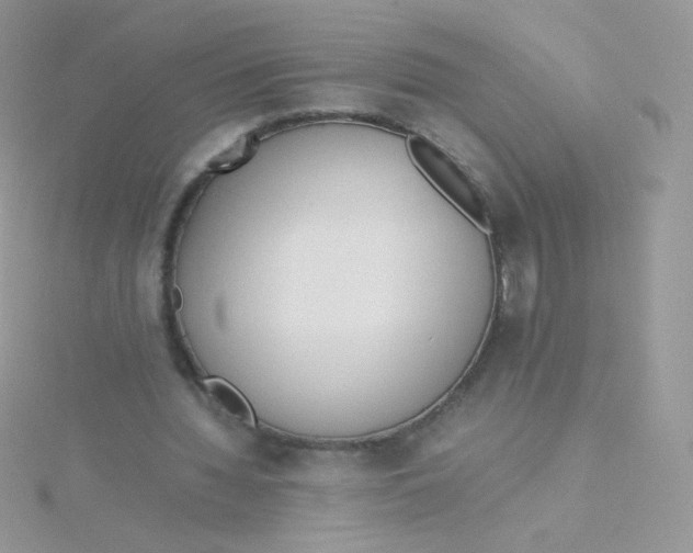 X0000115500436200911271413