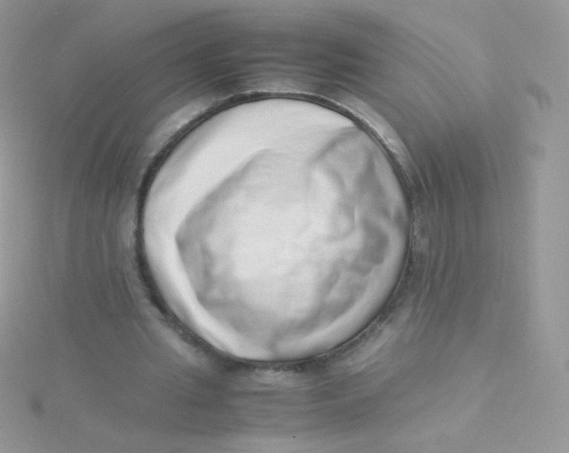 X0000115500437200911271413