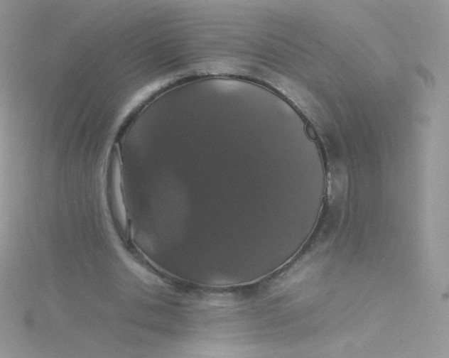 X0000115500438200911271413