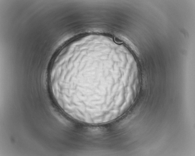 X0000115500439200911271413