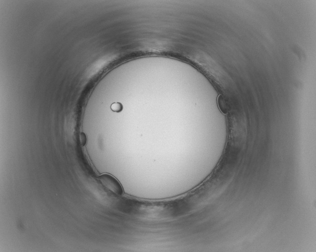 X0000115500440200911271413