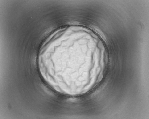 X0000115500441200911271413