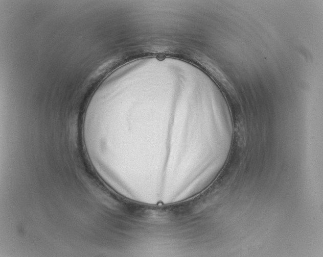 X0000115500442200911271413