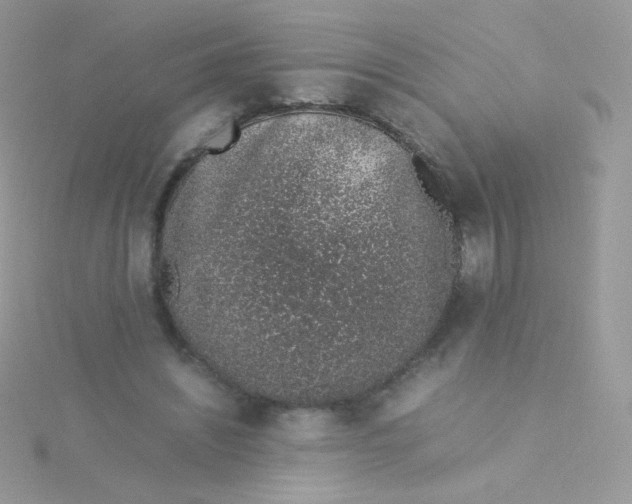 X0000115500444200911271413