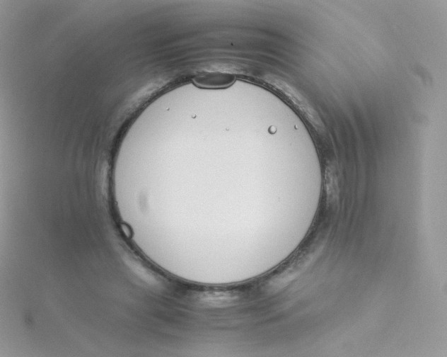 X0000115500445200911271413