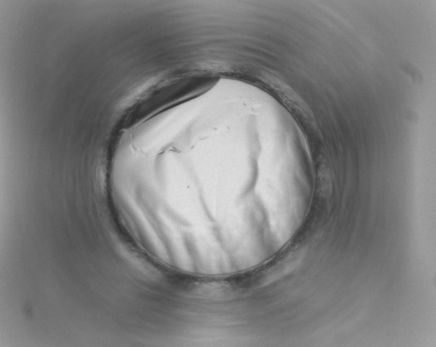 X0000115500446200911271413