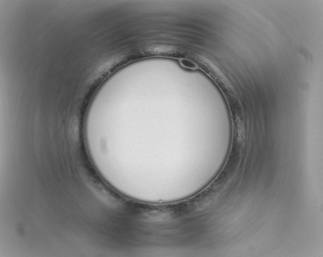 X0000115500447200911271413