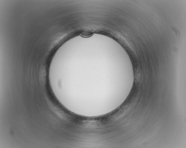 X0000115500448200911271413