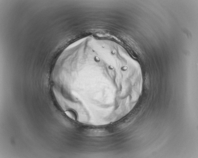 X0000115500449200911271413