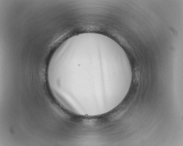 X0000115500450200911271413