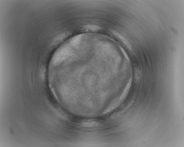 X0000115500451200911271413