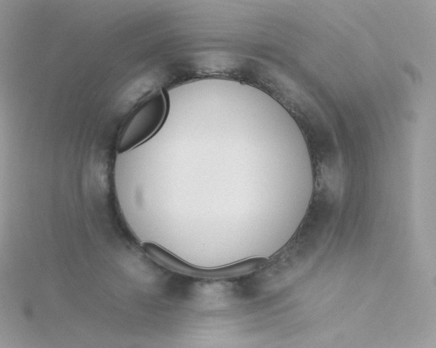 X0000115500452200911271413