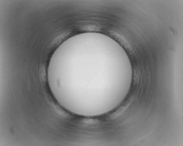 X0000115500453200911271413