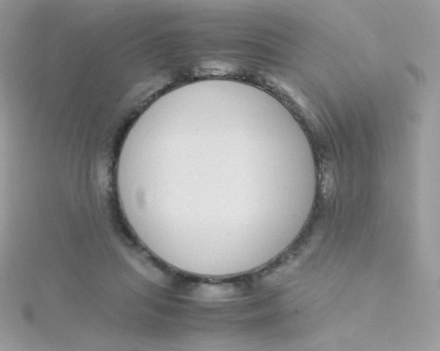 X0000115500455200911271413