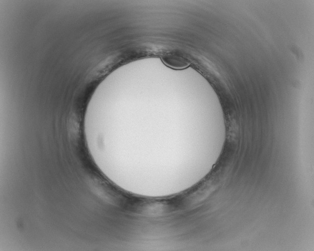 X0000115500456200911271413