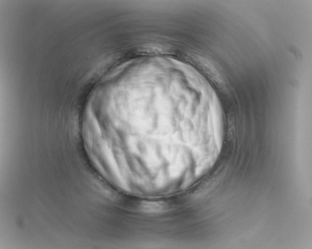 X0000115500457200911271414