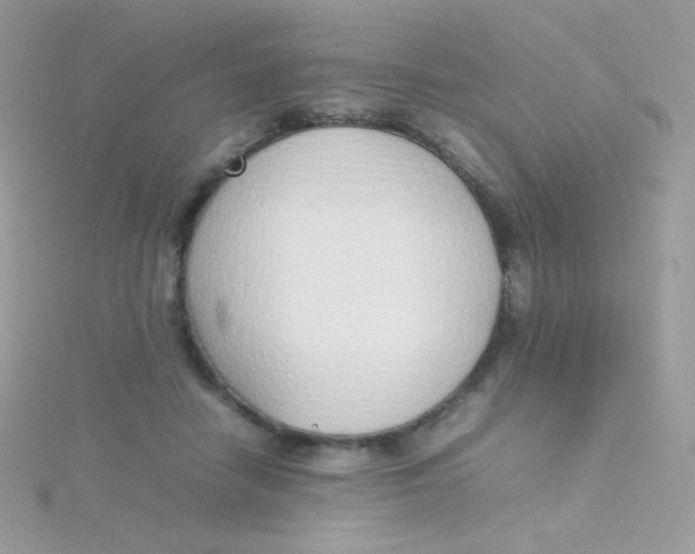 X0000115500458200911271414