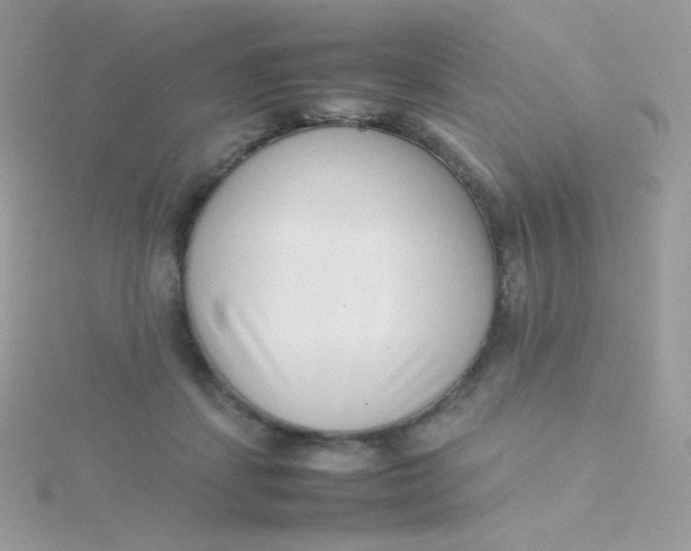 X0000115500459200911271414