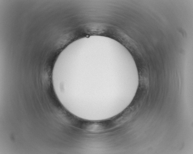 X0000115500460200911271414