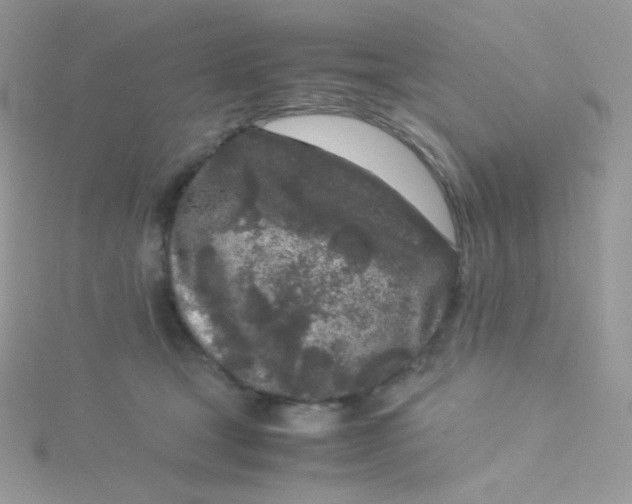 X0000115500465200911271414