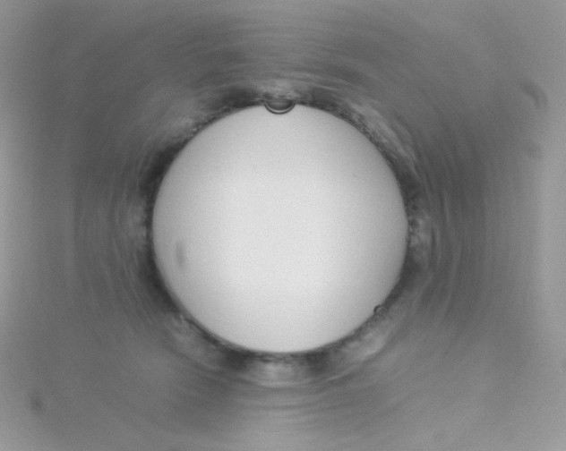 X0000115500466200911271414