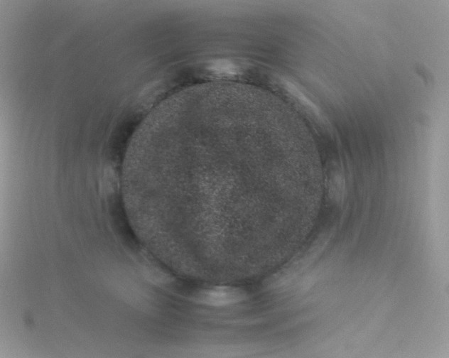 X0000115500467200911271414