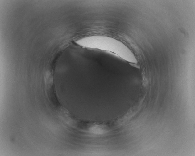 X0000115500471200911271414