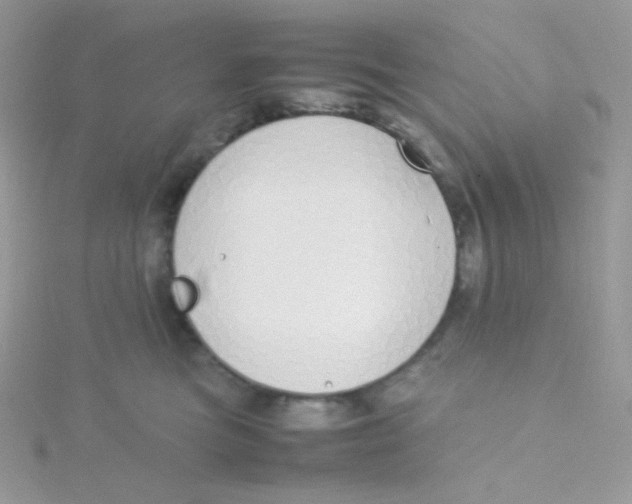 X0000115500473200911271414