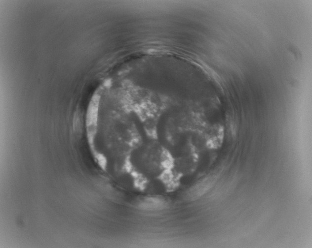 X0000115500475200911271414