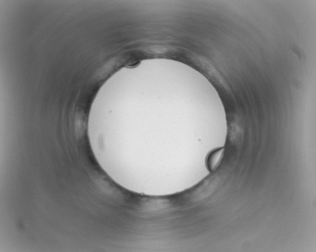 X0000115500476200911271414