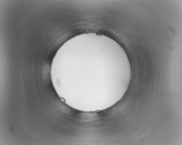 X0000115500480200911271414